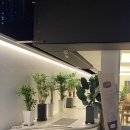 까페803스트리트