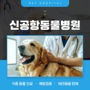 신공항동물병원 이미지