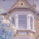 베베시오 이미지