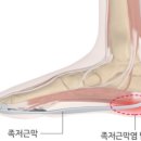 카이로온필라테스 네이버블로그