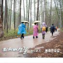 봉화1길 이미지