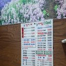 센다이참치 | [내돈내산] 서산 센다이참치초밥 코스 후기