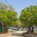 삼오2구 이미지