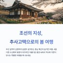 예산-09 | 4월 예산 데이트코스 추천 추사고택 감성 산책길로 힐링 여행 떠나기