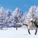 (주)내일여행 이미지