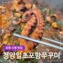 수상한쭈꾸미 | 포항 시청 맛집 청양일초 포항쭈꾸미 매콤하고 탱글한 식감