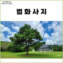 법화사지 | 제주 사찰 법화사지 배롱나무 사진 명소 연못 구품연지