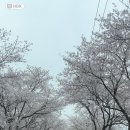 빨래터캠핑장 이미지