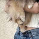 스테이더담 구미무을점 네이버블로그