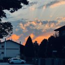 (주)에어팍스 | 이탈리아 일상 : 포도밭 와인 테이스팅, 부대 Training Holidays, 루나 펫여권, 이탈리안 운전면허증...