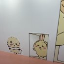 키디핏 | 도쿄 치이카와랜드 | 인형 사러 10번 간 덕후가 알려주는 신주쿠 키디랜드 꿀팁