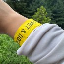 도도그 | [용인 골드펫&amp;도그베이] 애견수영장 | 취사가능 | 이용방법 | 솔직후기!