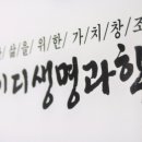 와이디(YD)