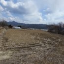 일구는공인중개사사무소 이미지