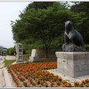 자등 3리 이미지