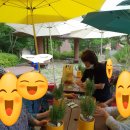 사회복지법인보현행원 노인요양원 | 보현행원 요양원 치매예방 노인회상요법 원예치료교실...향기테라피 맞춤형복지 집단체험 원예심리활동...