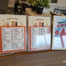 실왕길 | 안성 애견카페 실내도 운동장도 넓은 멍필드 내돈내산 후기