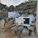 시아네민박 이미지