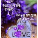 2022년 12월22일 덕천동 번개후기 이미지