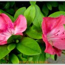 은혜병원 이미지