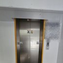 H2779 이미지