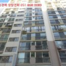 사파동117 이미지