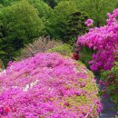 함평 천주교회 | BTS가 여름 불태운 완주, 봄에 와도 좋은 이유