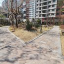 초이스공인중개사사무소 이미지