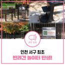 원신근린공원 (1) | 서구 원신근린공원 반려견 놀이터 탄생! 위치·이용방법 한눈에 보기🐾