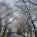 구량차리로 네이버블로그