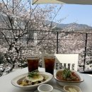 학감대로 | 부산 벚꽃 카페 사상 브런치 맛집 우디브룩