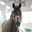 부경스카이 이미지