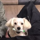 리멤버파크 이미지