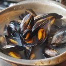 쭈꾸미아저씨 이미지