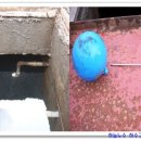 낙원주유소 이미지