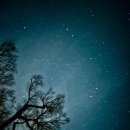 시와 별 그리고 동강(東江) / 유영애 작시. 정덕기 작곡 이미지