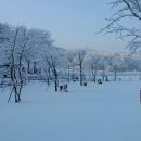 알프스캠핑장 이미지