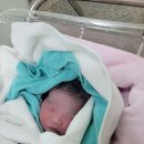 구 진해요항부 병원 | 38주 자연진통 자연분만 시도 끝 결국 제왕절개 엔딩 청주 엠에스(구.민병렬) 산부인과 출산 후기