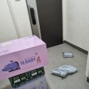 북토이 | 아기용품 : 내 아기의 첫 전집 가성비 좋은 "블루래빗 아이큐베이비" 내돈내산 후기