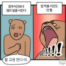 2월, 콩무당벌레~ that&#39;s my piercing