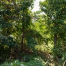 거제고등학교 이미지