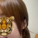 수원 권선동 로이드밤 권선점 정우 디자이너님에게 레이어드컷 받은 솔직후기 (수원미용실)