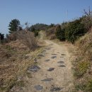 꽃섬투어 이미지