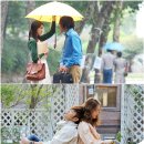 사랑비 스타뉴스