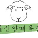 태양목장2 이미지