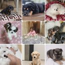 원주브리딩 이미지