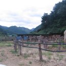 율곡 농장 이미지