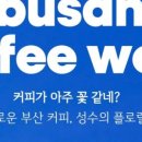 템푸스커피