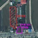 장미를찾는사람들