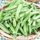 스위트피(sweetpea) 이미지